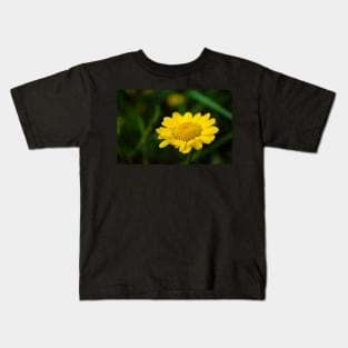 Yellow flower of dyer's camomile Kids T-Shirt